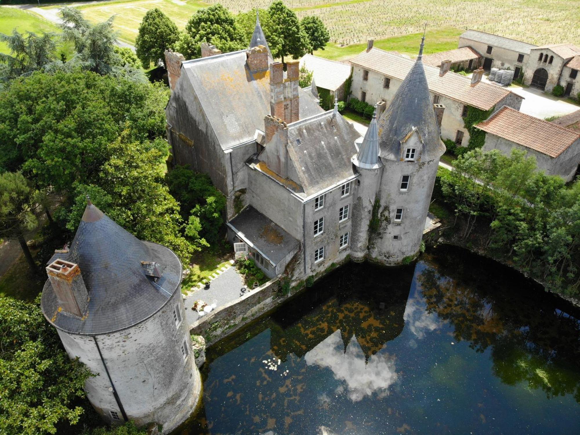 Chateau De La Preuille Bed & Breakfast Montaigu-Vendee Exterior foto